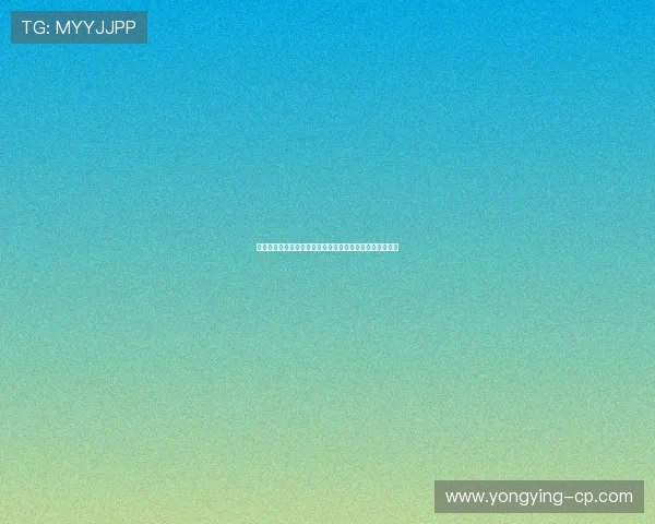 吕嘉琦：从年轻才俊到行业领军人物的成长历程与未来展望